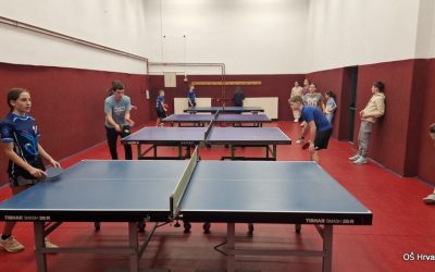 Področno tekmovanje v ping pongu